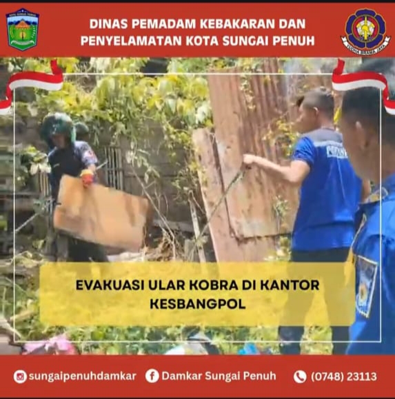 Damkar Gelar Sosialisasi di Dua Lokasi, Perkuat Edukasi Keselamatan untuk Masyarakat