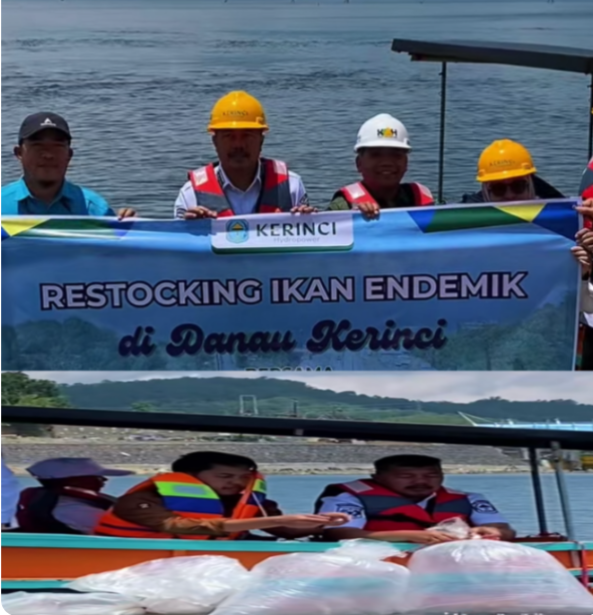 Dorong Kesejahteraan Nelayan, Bupati Monadi Bersama PT KMH Tebar Ikan Endemik di Danau Kerinci